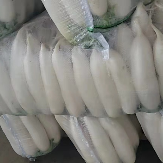 水洗白萝卜