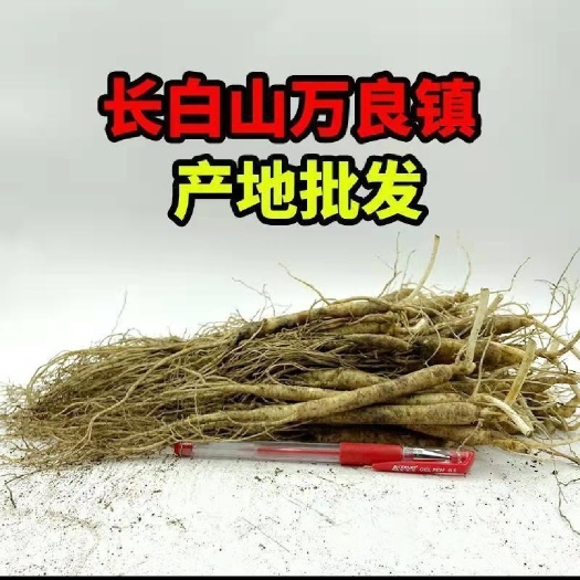 抚松县超实惠！鲜人参0.58元一根 酒瓶参 火锅人参 自家泡水泡酒