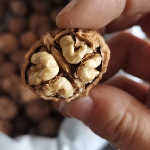 中牟县云南纸皮山核桃，皮薄肉厚，纯人工挑拣，无污染