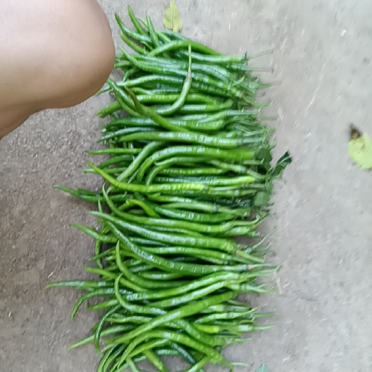 六盘水工厂货。