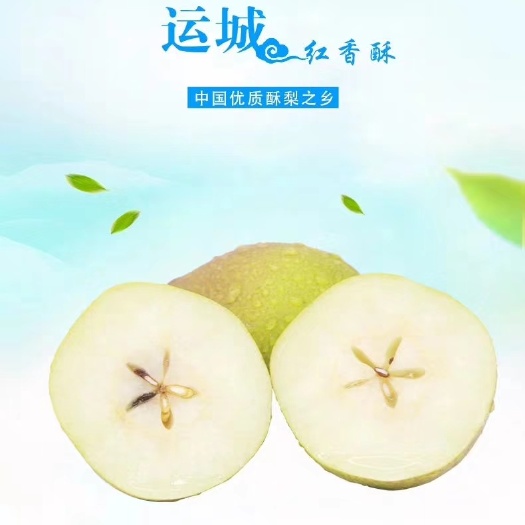 临猗县红香酥梨