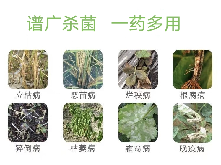 甲霜恶霉灵  30%甲霜灵噁霉灵农药立枯根腐病枯萎病青枯病死