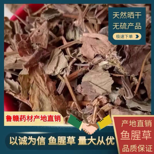 鄄城县鱼腥草，新货鱼腥草，500克起批，量大从优