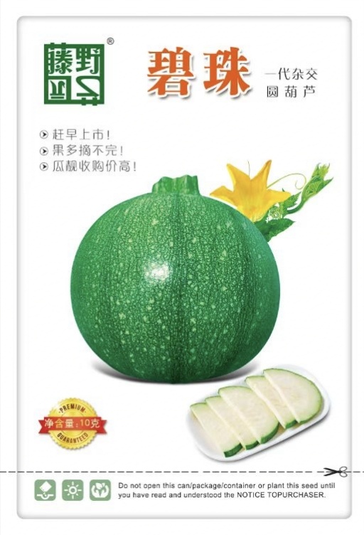 新西葫芦 秋冬春三季播种，耐寒，高产，近圆形，果皮翠绿色亮度