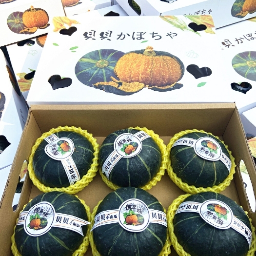 昌乐县【贝贝南瓜】粉糯香甜，全年供应，量大优惠，包售后