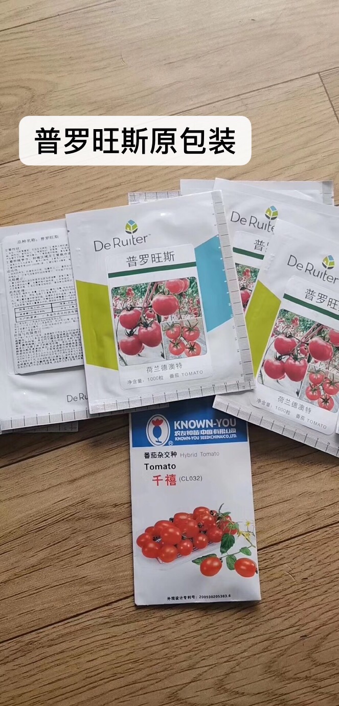 普羅旺斯種子，西紅柿種子，番茄種子，毛粉、老西紅柿品種
