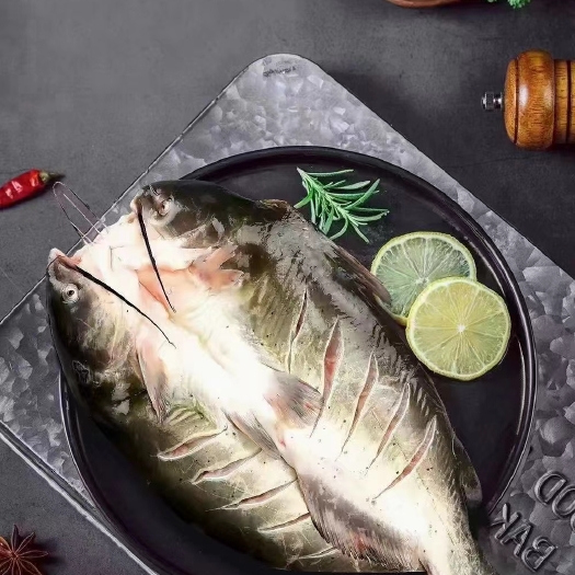新民市鮰鱼，烤鱼店爆款鱼品