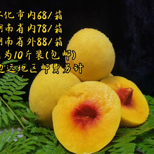 怀化黄岩高山黄桃