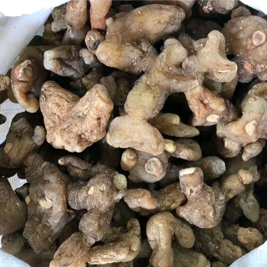 昆明黄精大量到货需要的老板可以联系我！