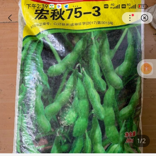 75-3毛豆种子