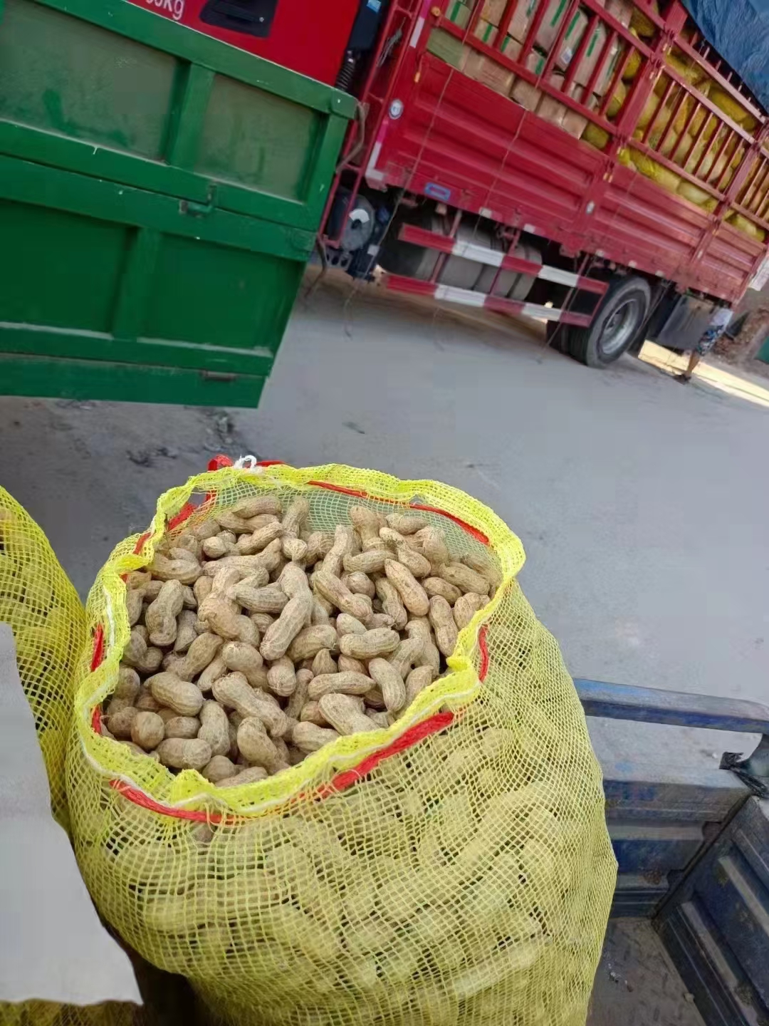 鲁花八号大量上市中，