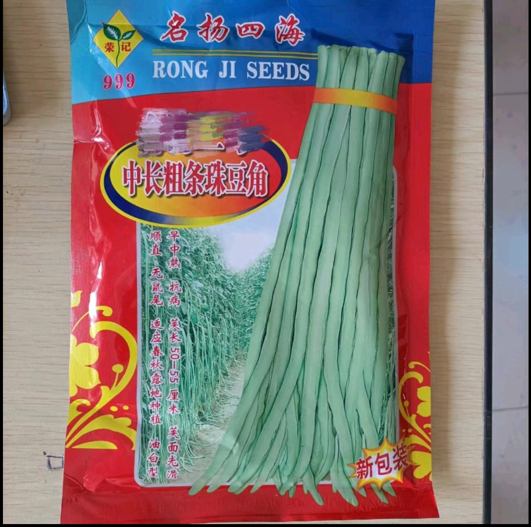 珠仔油白豆角种子 大肉甜豆角 厚肉好吃豆角 猪仔黑籽豇豆种