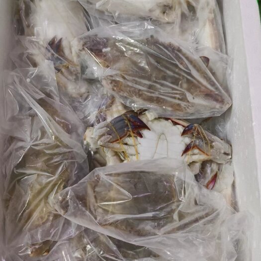 上海冰鲜梭子蟹5到6两