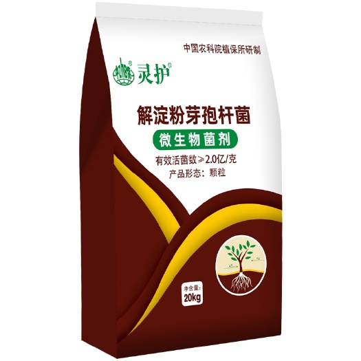 泰兴市芽孢杆菌