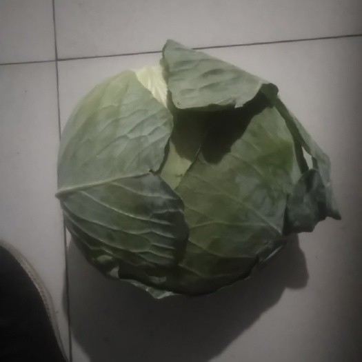 张北县二斤至五斤重，刚刚下来