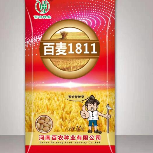 郑州小麦种子
