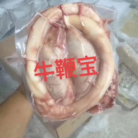 阳信县牛鞭宝