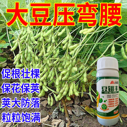 栾川县豆钼丰 大豆专用增产增收素 生根壮苗保花保荚抗菌抗病硼钼锌肥