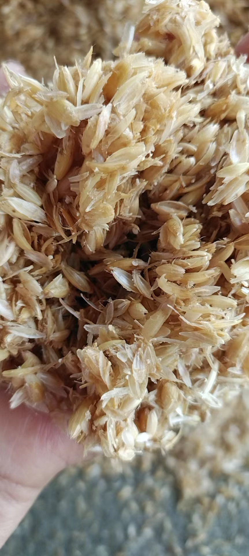 潮州燕麦壳