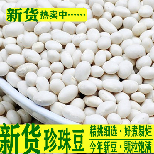 临沂白芸豆  现货批发白芸豆  豆沙馅食品馅料五谷杂粮袋装50斤