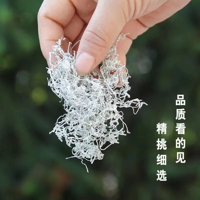 【张家界直销】正宗无硫莓茶道地药材莓茶富含黄铜口味甘甜包邮