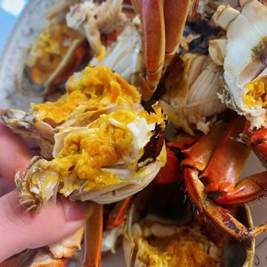 盘山县大闸蟹，各种规格，香辣蟹，自助餐