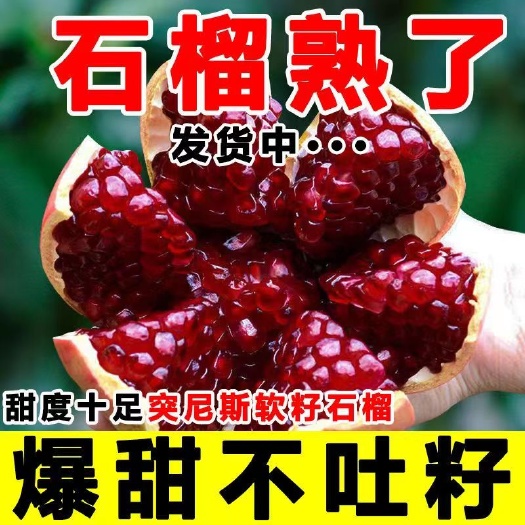 会理市突尼斯软籽石榴四川会理石榴精品果一件代发电商供应链大量供应