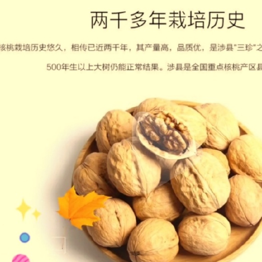 涉县自家野长的道地药材