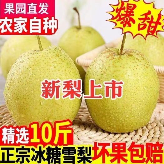 淮南雪梨雪花梨河北9斤冰糖雪梨批发5斤批发一整箱润肺