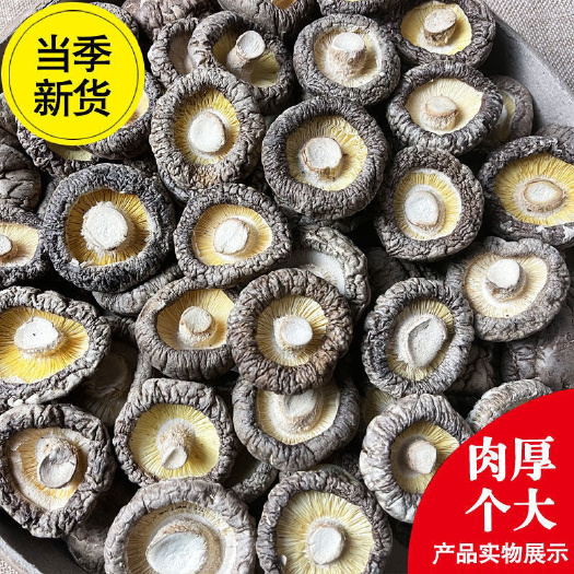 商河县500克香菇干货一等冬香茹菌类菌菇干货新鲜蘑菇干菜类干