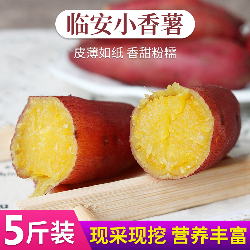 杭州红薯临安天目山小香薯5斤农产品