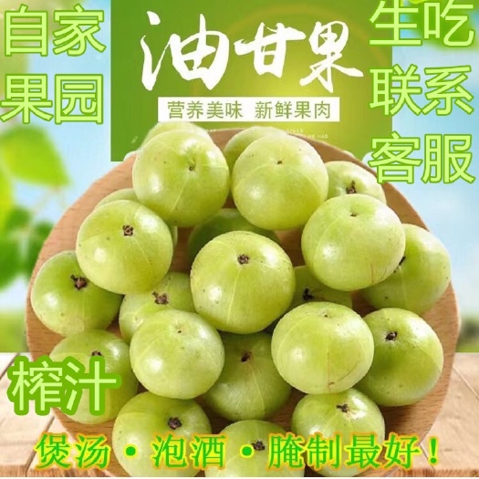 汕头现摘甜种油甘赤皮油甘果 新鲜粗皮油柑牛甘果余甘果 孕妇水果
