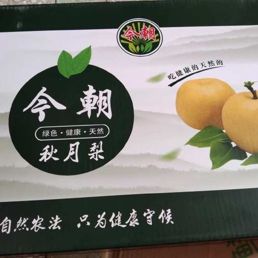 砀山县精品秋月梨，正在出售。大量有货