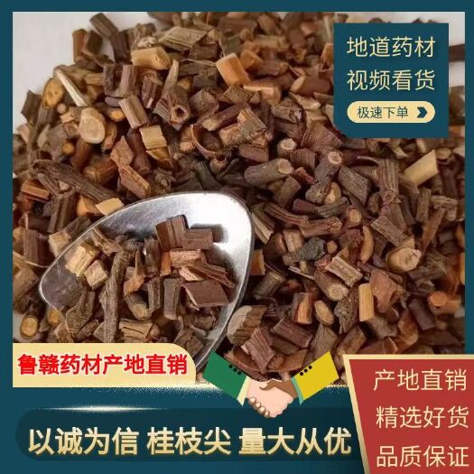 鄄城县桂枝尖，正品桂枝尖，规格齐全，量大从优