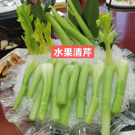 清远新产品荷兰水果西芹  一款可以生吃的西芹  多汁无渣 。