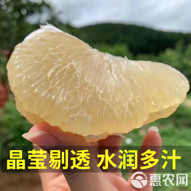 柚子红心大蜜柚 白心柚子批发价薄皮白肉 当季新鲜水果