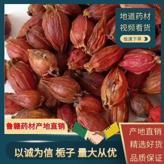 栀子，现货栀子，产地货源，源头直供批发大货栀子，量大从优