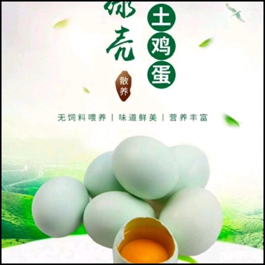 沭阳县绿壳蛋  自家散养绿壳土鸡蛋,可食用可孵化,承诺每天都是新鲜