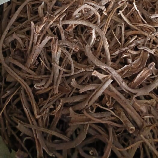 中药材南五加皮 四川南充阆中发货 优质根茎类药材