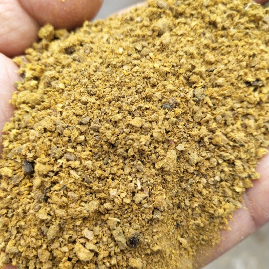 郓城县厂家直销棉粕，保证质量，适合做饲料