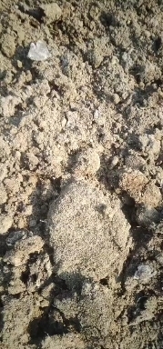 泰兴市鸭粪