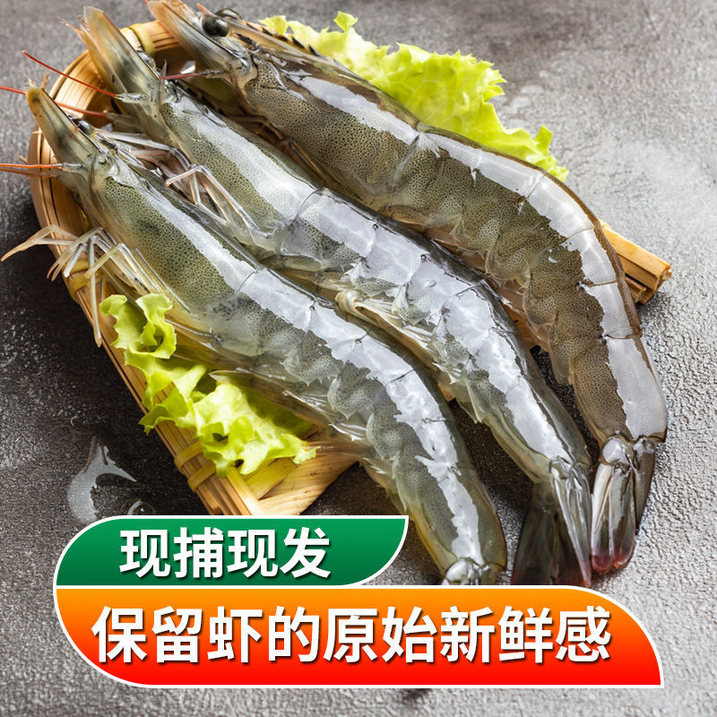 青島青島大蝦整箱海鮮鮮活速凍大冷凍基圍蝦鮮蝦海蝦對蝦包郵