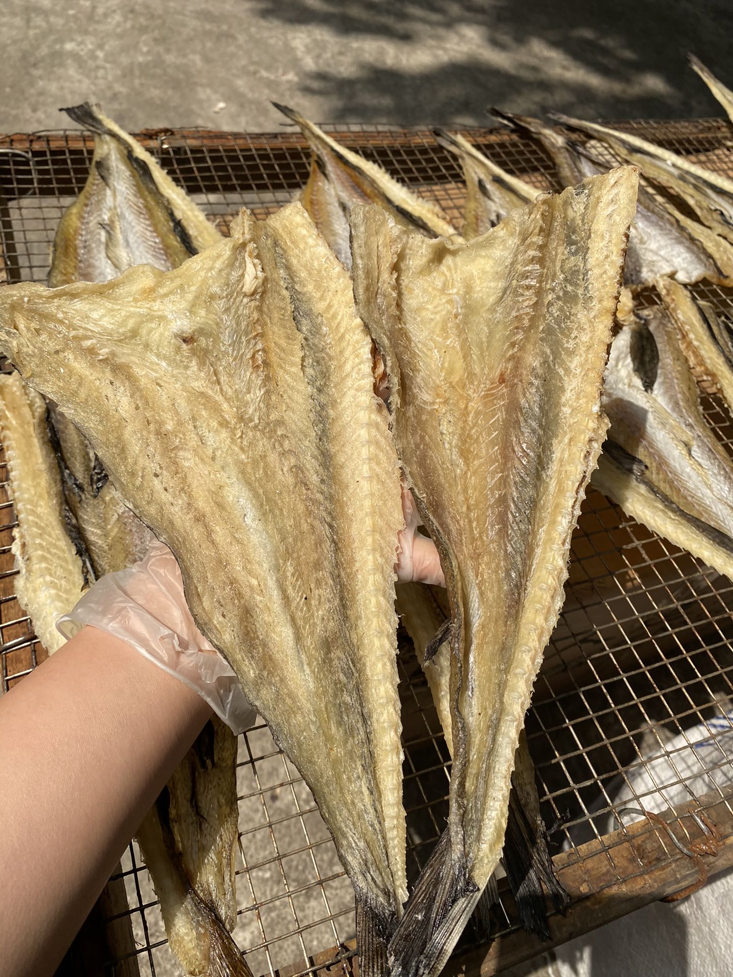 广州A级品质柴鱼片 连骨头都可以吃的柴鱼干 去皮 硬身 松身