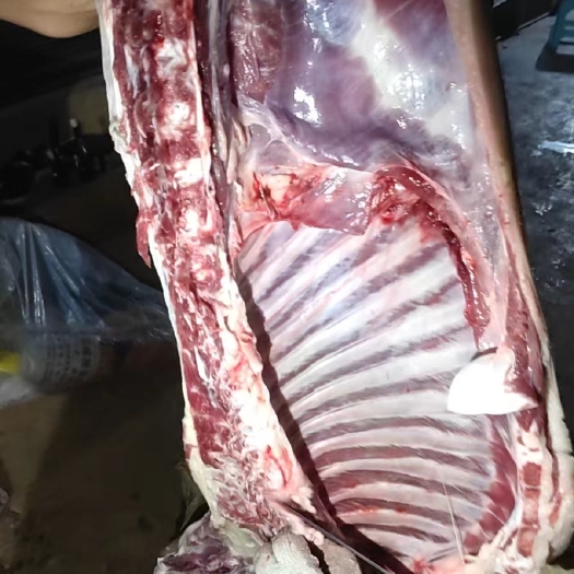 威宁县黑山羊腌公