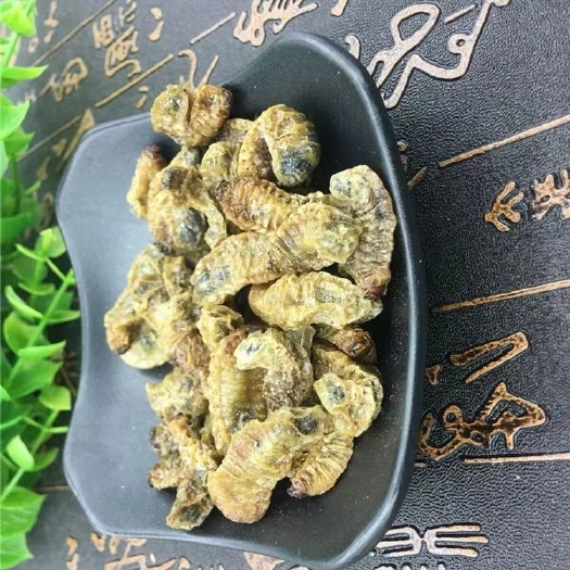 亳州蛴螬、鸡母虫，鸡婆虫，土蚕，老母虫，白时虫、螆头、大牙