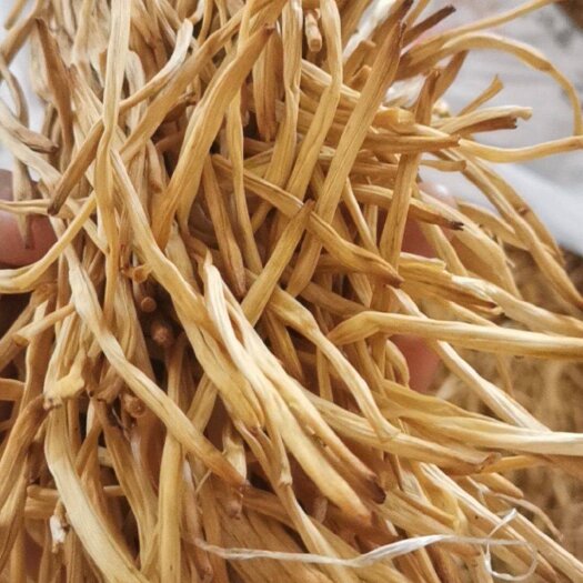 大荔县大荔黄花菜2022新菜 无硫
