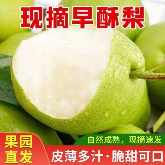 延长县酥梨