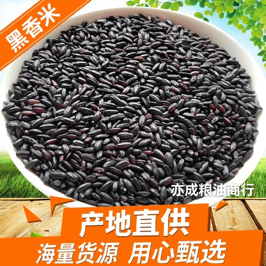 黑米批发 东北黑香米 黑大米25kg