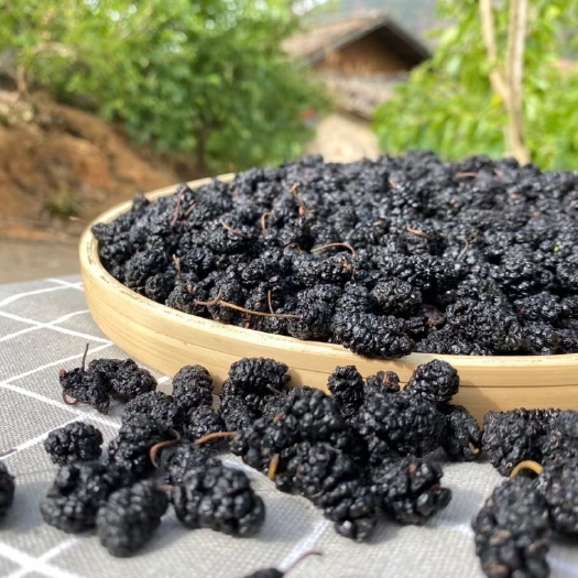 新疆吐鲁番桑葚干桑椹桑果500克散装人工二次选货
