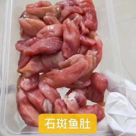 石斑鱼肚